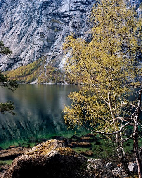 Worried Landscapes - Simadalsfjorden