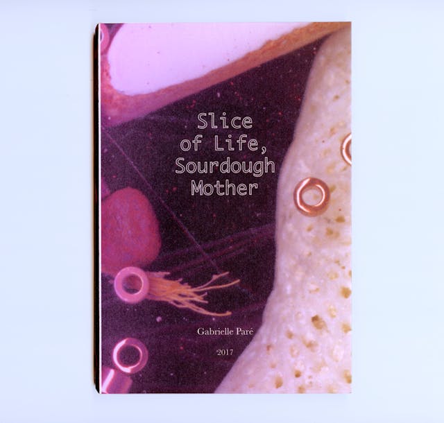 Slice of Life, Sourdough Mother by Gabrielle Paré