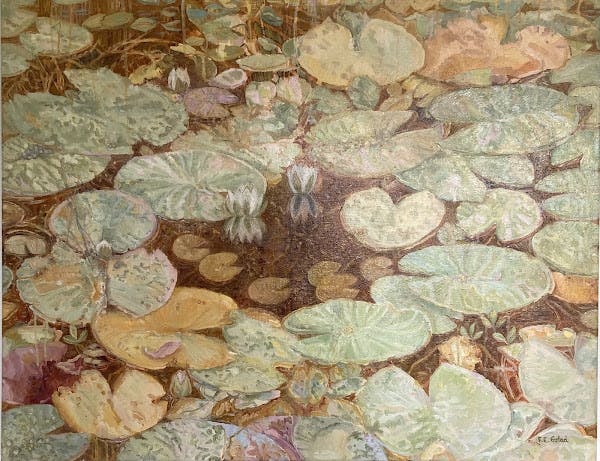 Lily pond / Liljedam