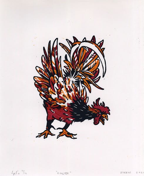 Rooster (Colour)