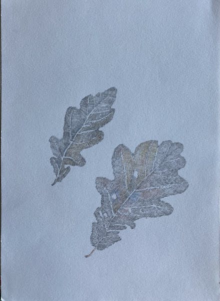 Leaf drawing #2. Bladtegning #2