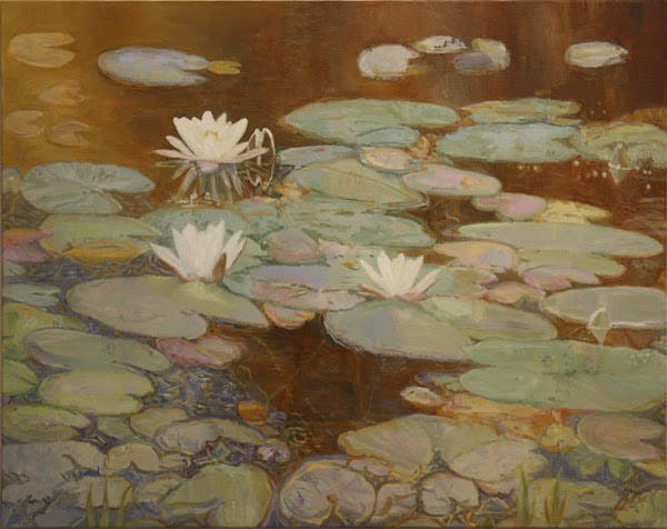 Lily pond in golden light / Liljedam i gyllent lys