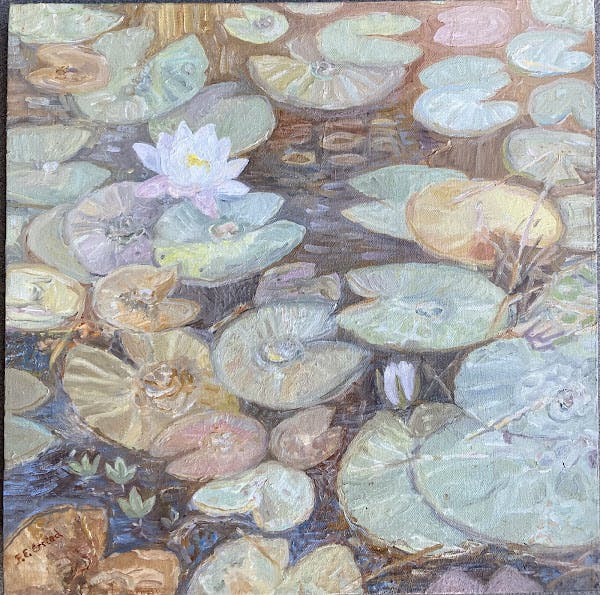 Lily pond #2 / Liljedam #2